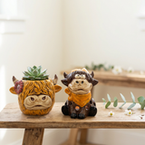 Dark Matters home decor collection with gothic ornaments, candle holders and Highland cow designs
