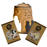 Cello Family Porcelain Penguin Tealight Burner & 12 Naked Melts Set