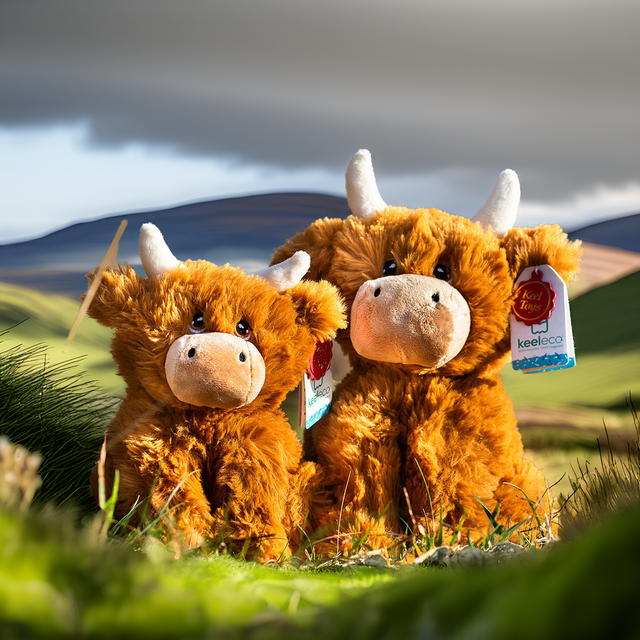 Keeleco Highland Cow (25cm)