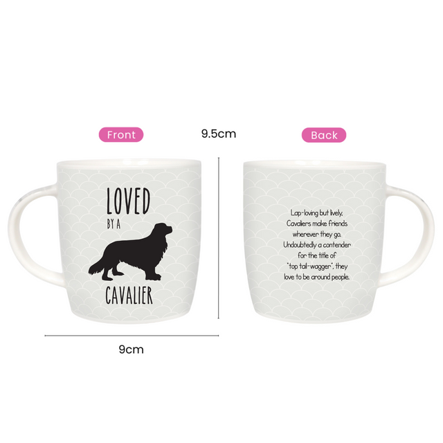 Splosh Pet Mugs - Cavalier