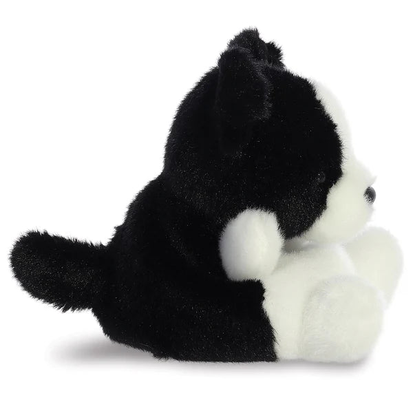 Palm Pals - Brodie Collie Dog