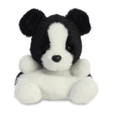 Palm Pals - Brodie Collie Dog