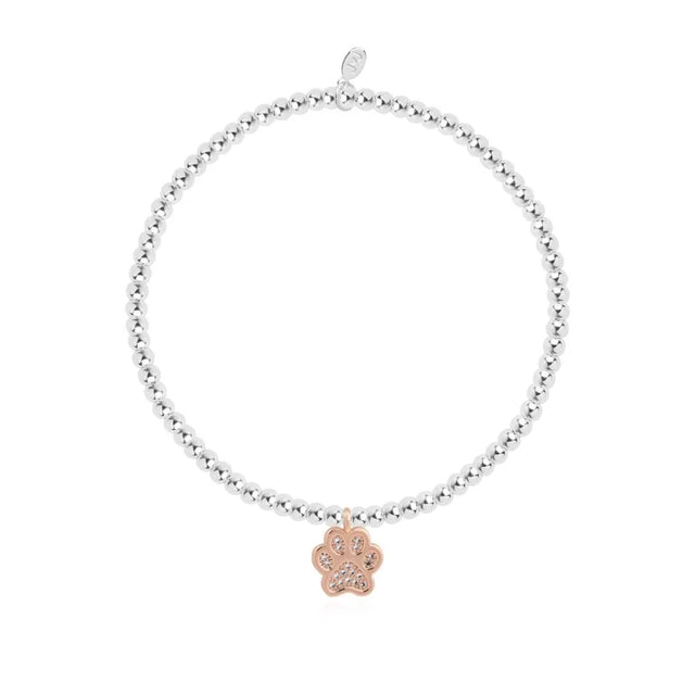 Joma Jewellery Bracelet - A Little Love Has Four Paws