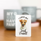 Splosh Jack Russell Pet Magnet