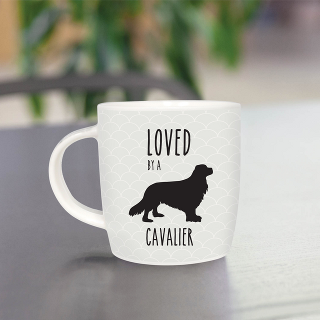 Splosh Pet Mugs - Cavalier