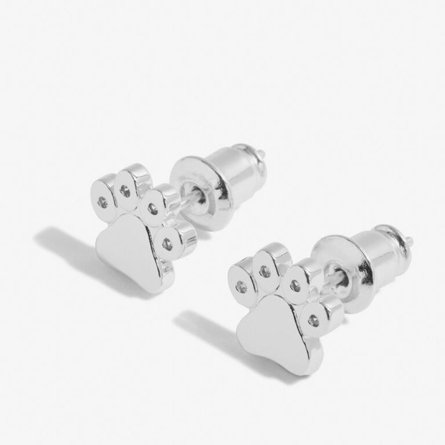 Joma Jewellery Earrings - A Little Love Has Four Paws