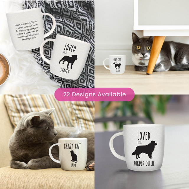 Splosh Pet Mugs - Cavalier
