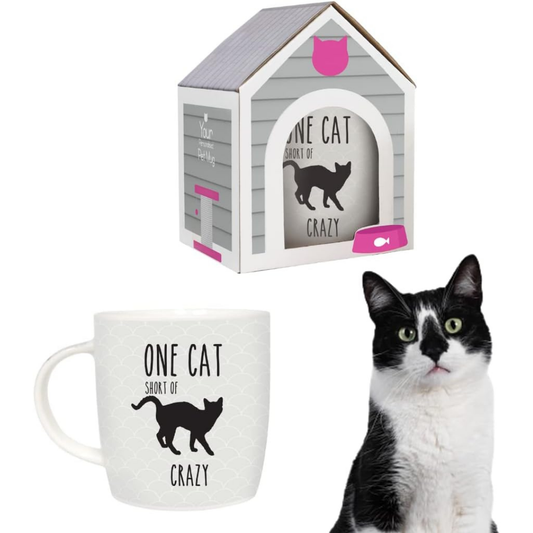 Splosh Pet Mugs - One Cat Short