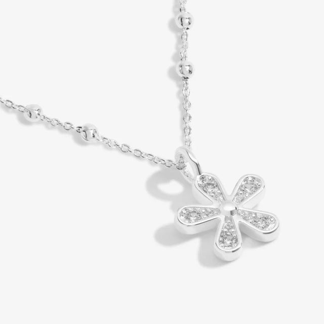 Joma Jewellery Necklace - A Little If Mums Were Flowers I'd Pick You