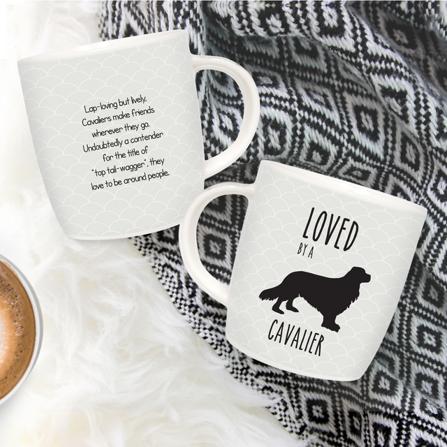 Splosh Pet Mugs - Cavalier