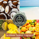 Cello Wax Melt - Caribbean Coconut