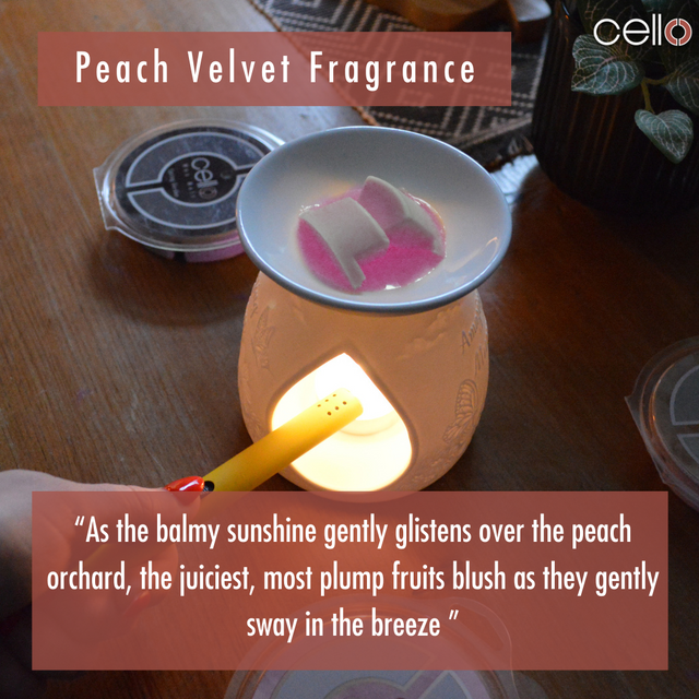 Cello Wax Melt - Peach Velvet