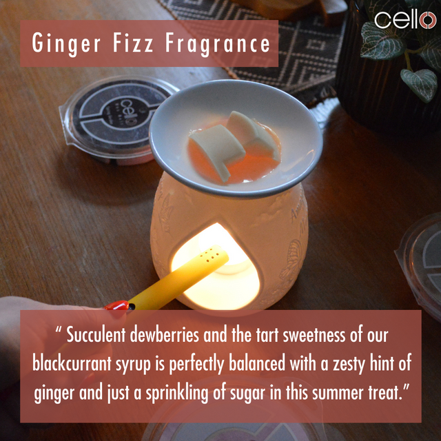 Cello Wax Melt - Ginger Fizz