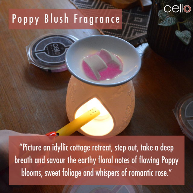 Cello Wax Melt - Poppy Blush