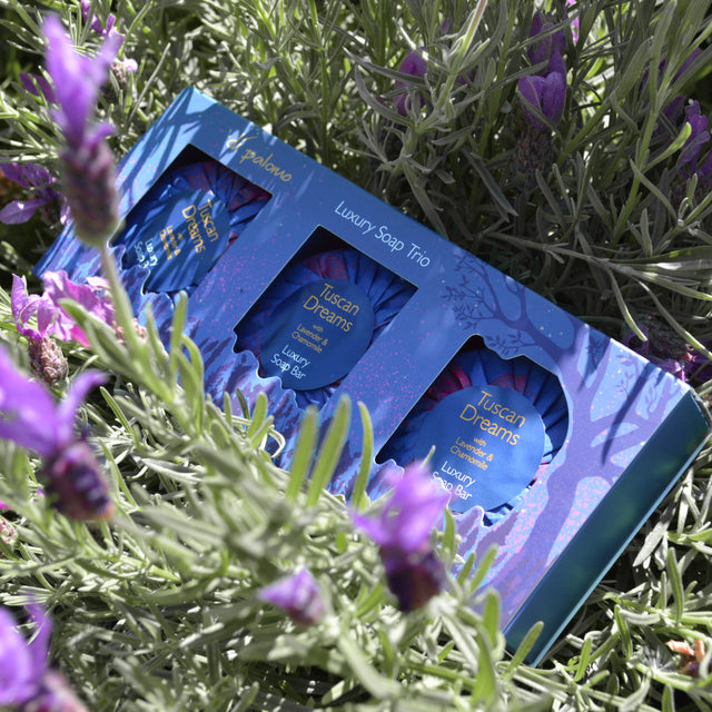 Di Palomo Tuscan Dreams Luxury Soap Trio