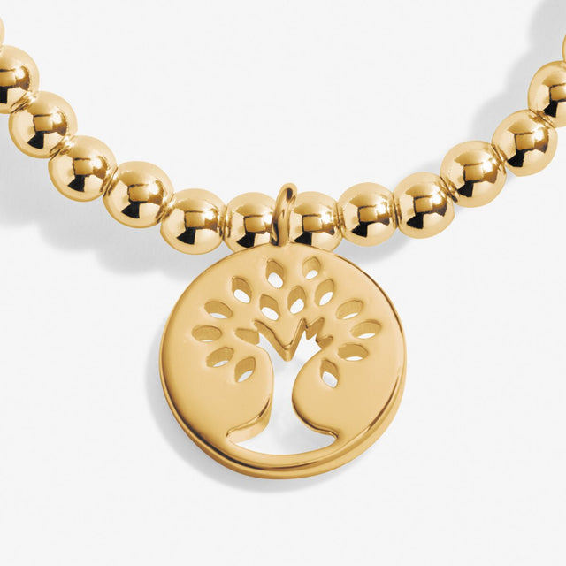 Joma Jewellery Gold Bracelet - Family - A Little