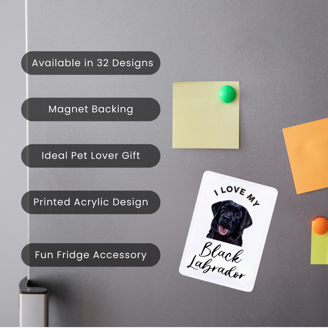 Splosh Black Labrador Pet Magnet
