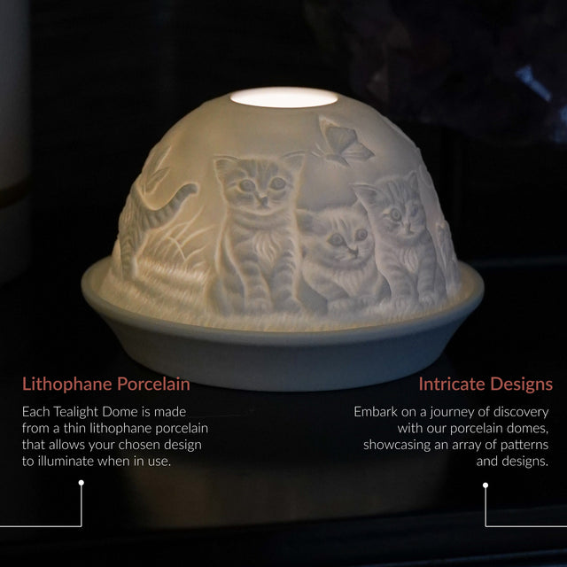 Cello porcelain tealight holder dome featuring kittens with big loving eyes playing with butterflies dancing overhead. Dimensions: 8cm height, 12cm width, displayed against a dark background.