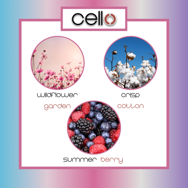 Cello Scent Cup Trio - Special Friend