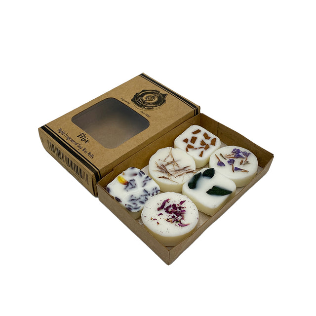 Cello Family Porcelain Penguin Tealight Burner & 12 Naked Melts Set