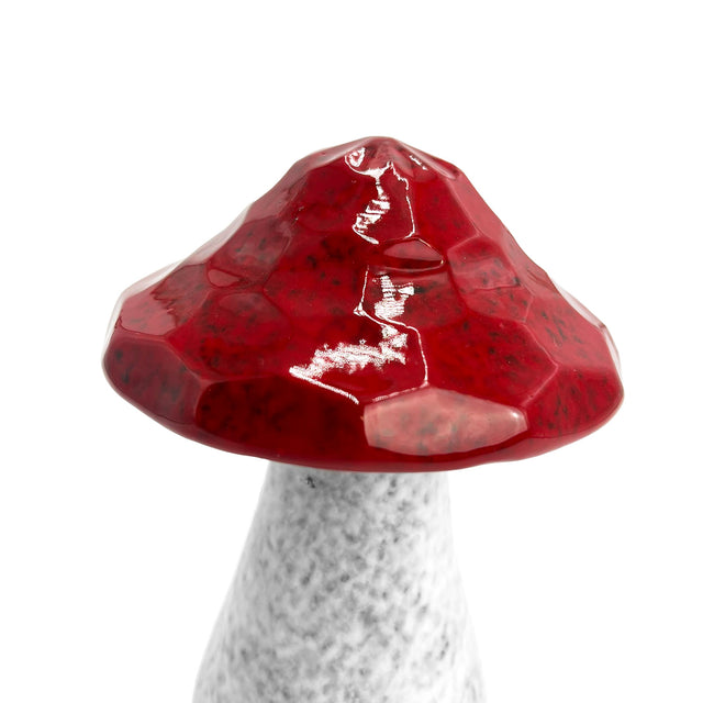 Cello Home - Mushrooms - Medium