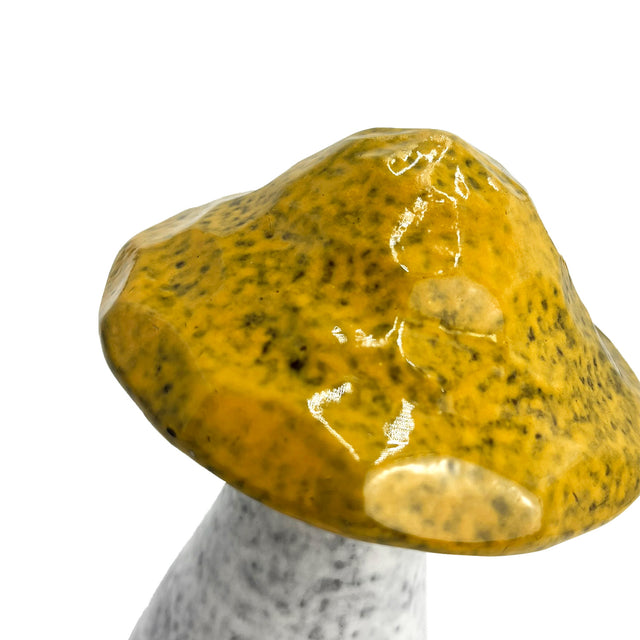 Cello Home - Mushrooms - Medium