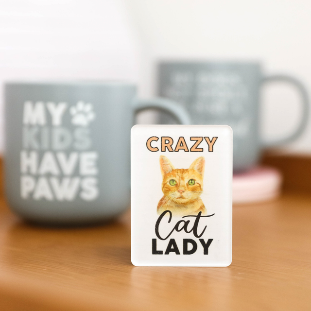 Splosh Crazy Cat Lady Pet Magnet