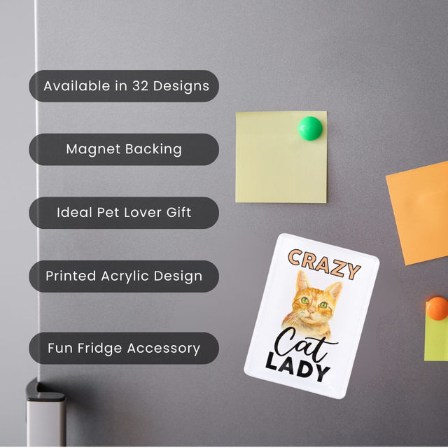Splosh Crazy Cat Lady Pet Magnet