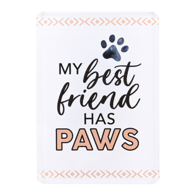 Splosh Best Friend Pet Magnet