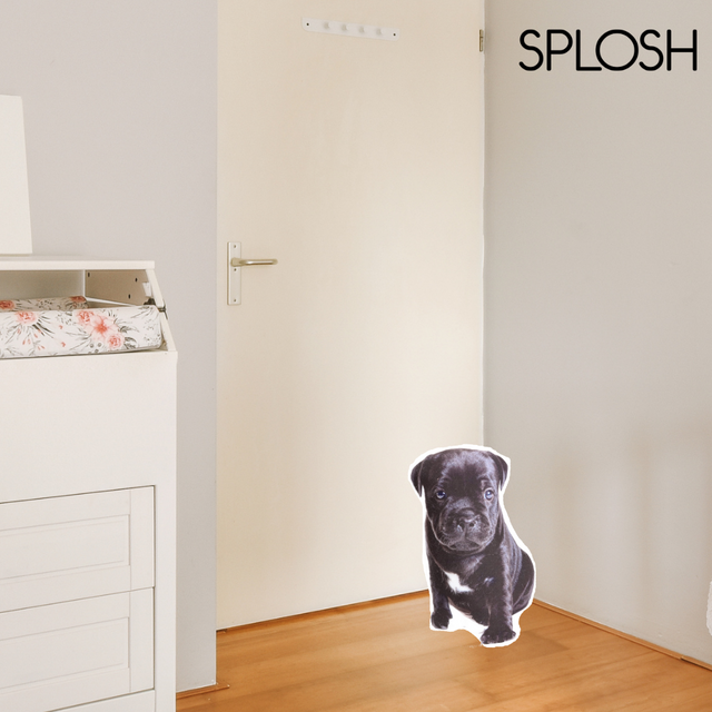 Splosh Adopt A Doorstop Buddy The Staffy