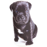 A photo-realistic print of a Staffy puppy doorstop.