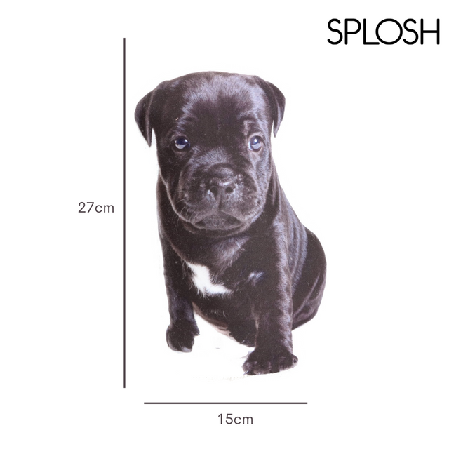 Splosh Adopt A Doorstop Buddy The Staffy