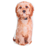 Splosh Adopt A Doorstop Charlie The Cockapoo