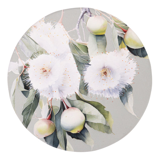 Splosh Gumnuts Ceramic Coaster Native Blooms