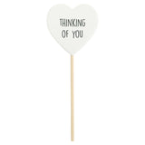 Splosh Plant Message Thinking Of You