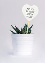 Splosh Plant Message Mum