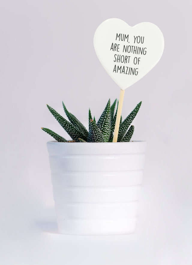 Splosh Plant Message Mum