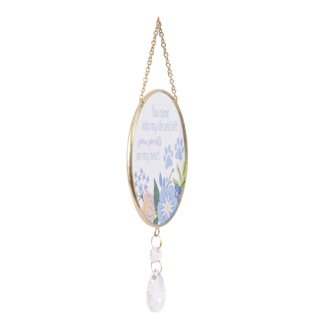 Splosh Suncatcher - Paw Prints