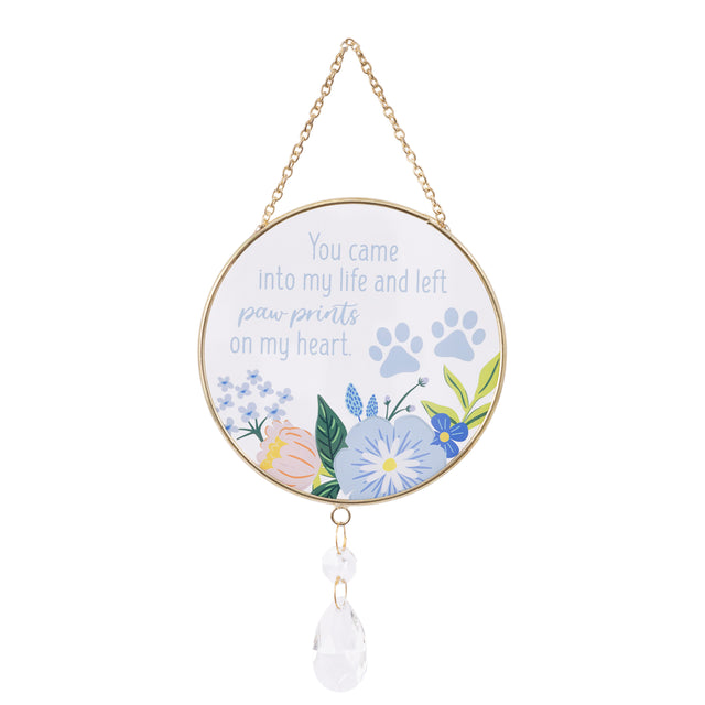Splosh Suncatcher - Paw Prints