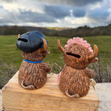 Lesser & Pavey - Highland Cow Money Bank Pink Flower