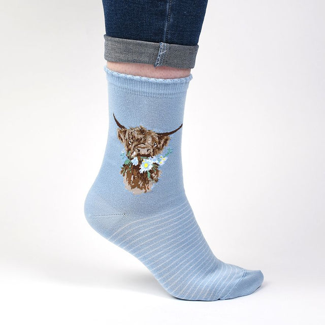 Wrendale Designs Cow Sock - Daisy Coo