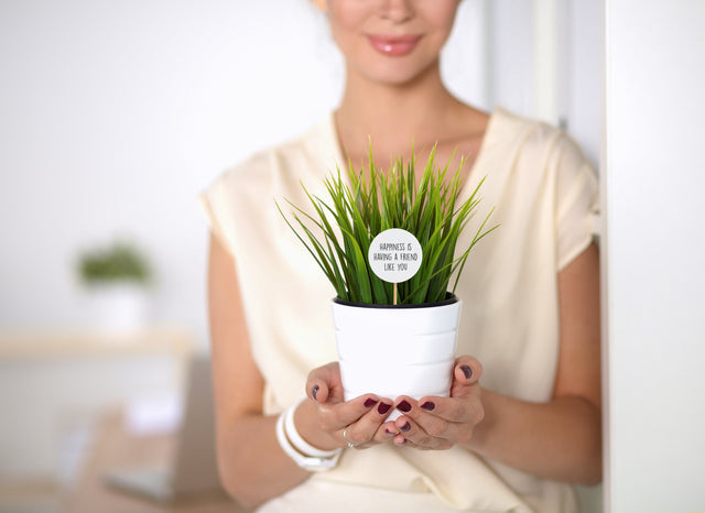 Splosh Plant Message I Love You