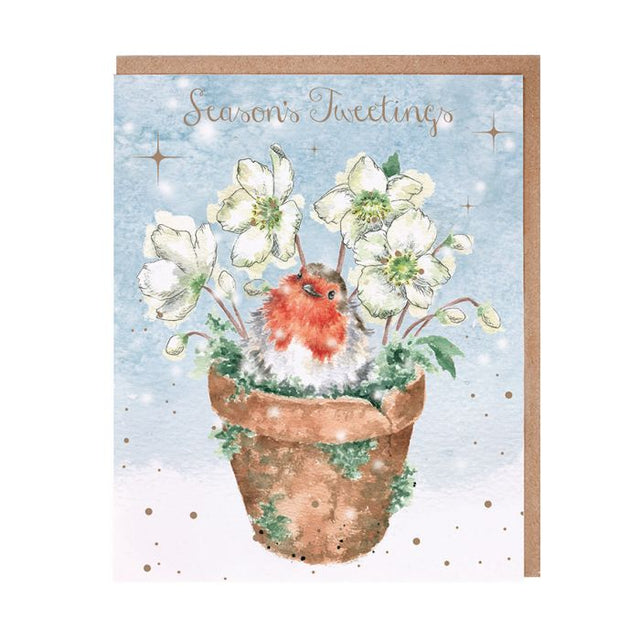 Wrendale Designs Robin Boxed Cards - Season's Tweetings - Notecard Pack