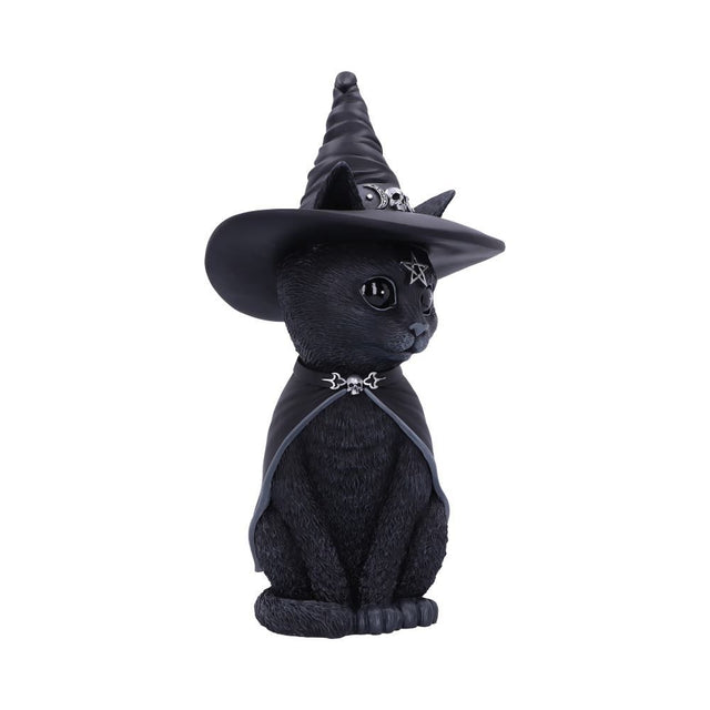 Nemesis Purrah 30cm (Large)