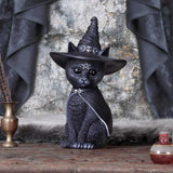 Nemesis Purrah 30cm (Large)