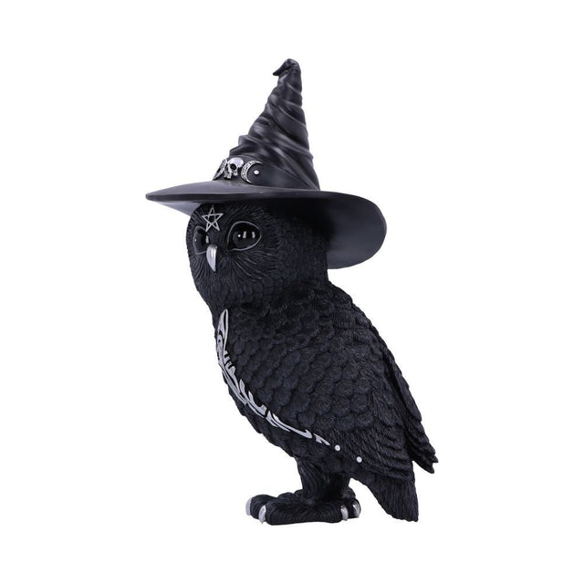 Nemesis Owlocen 30cm (Large)