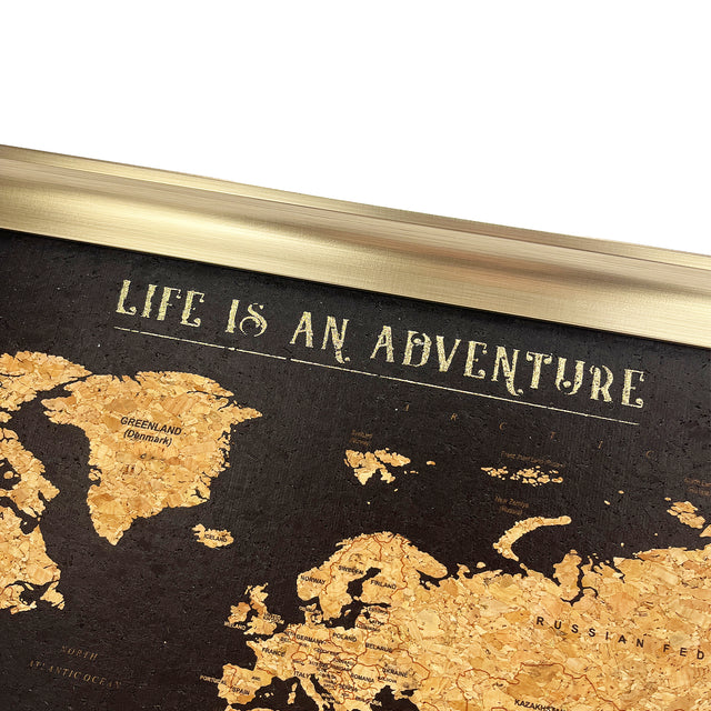 World travel map cork board detail with gold and silver pins