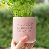 Ceramic plant pot indoor with you are amazing message