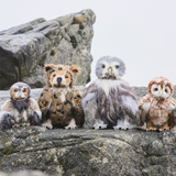 Charlie Bear Flights of Fancy owl collection 2026
