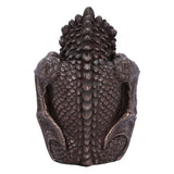 Nemesis Dragon Snuggle Box